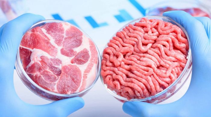 El consumo de carne artificial podría reducir el calentamiento global El consumo de carne artificial podría reducir el calentamiento global