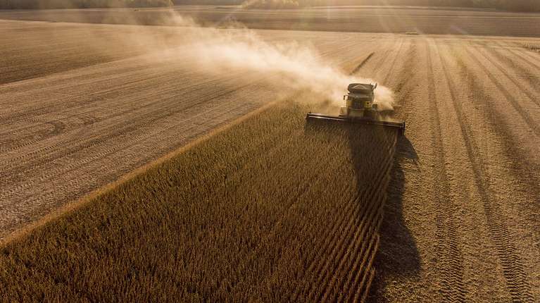 Commodities del agro: por boom de precios ingresarían u$s16.000 millones más que en 2020 Commodities del agro: por boom de precios ingresarían u$s16.000 millones más que en 2020