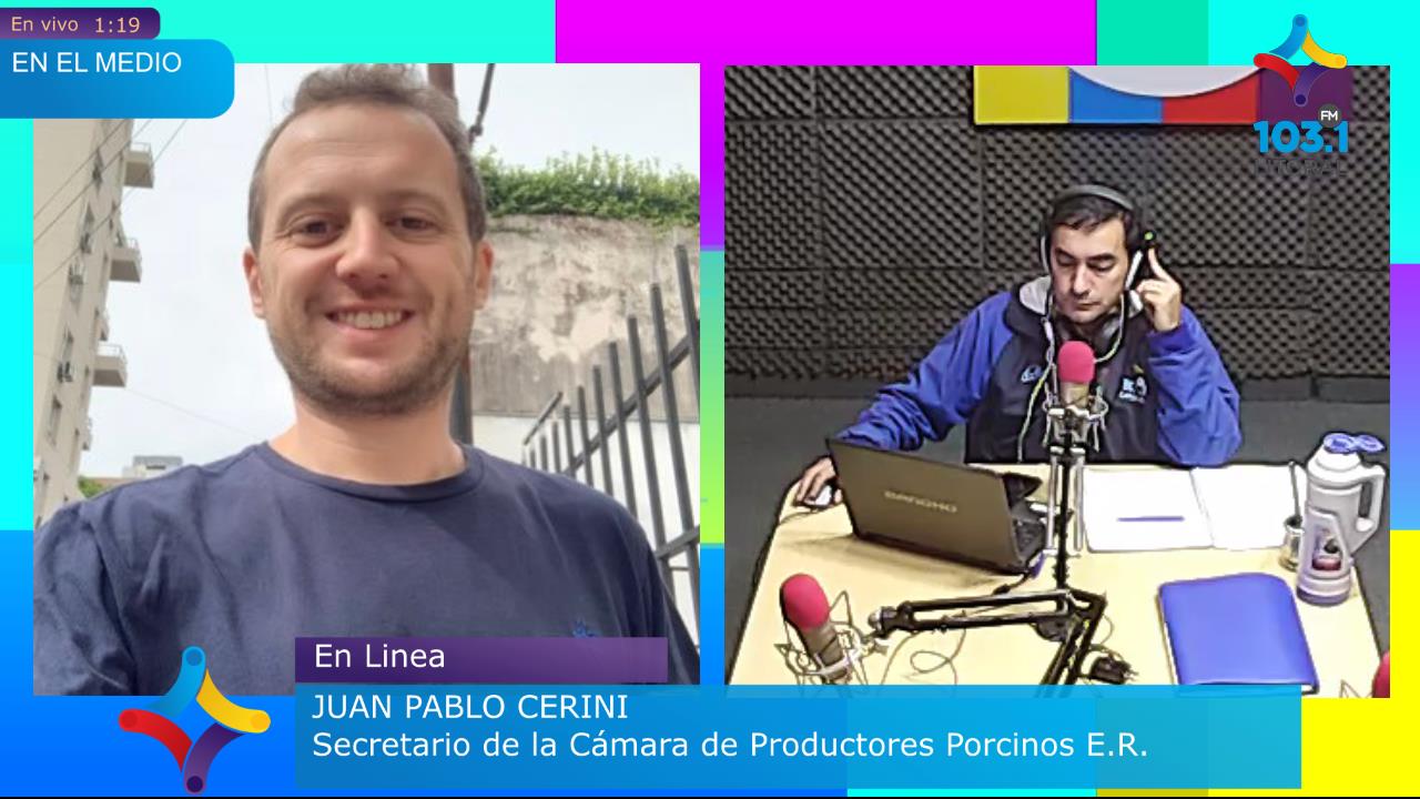 Productores porcinos perjudicados por importaciones Productores porcinos perjudicados por importaciones