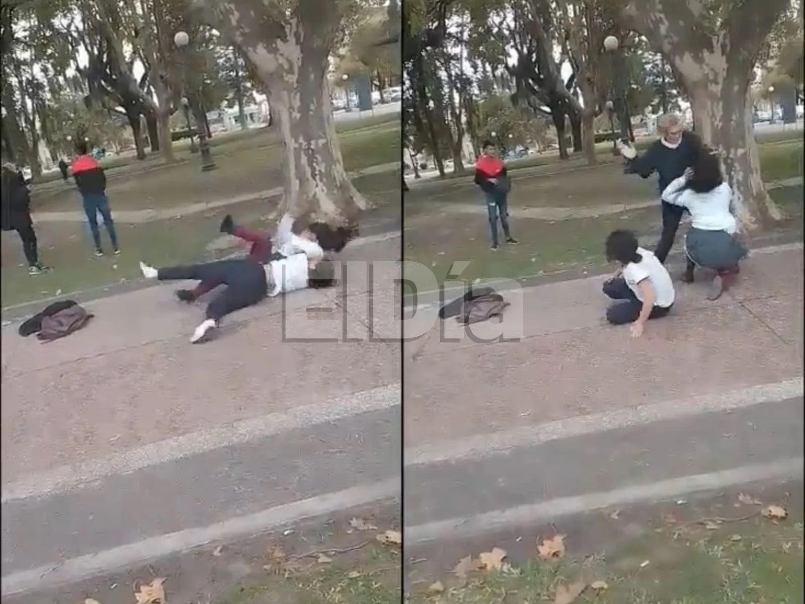 Dos alumnas peleaban en la plaza y una mujer las separó a cachetazos Dos alumnas peleaban en la plaza y una mujer las separó a cachetazos