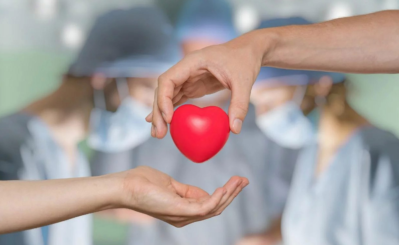 30 de Mayo, Día Nacional de la Donación de Órganos