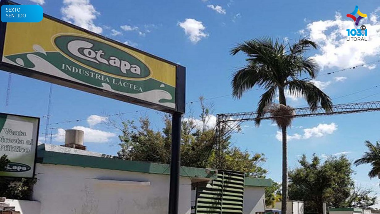 Cotapa: «Usurpada por sus trabajadores» Cotapa: «Usurpada por sus trabajadores»