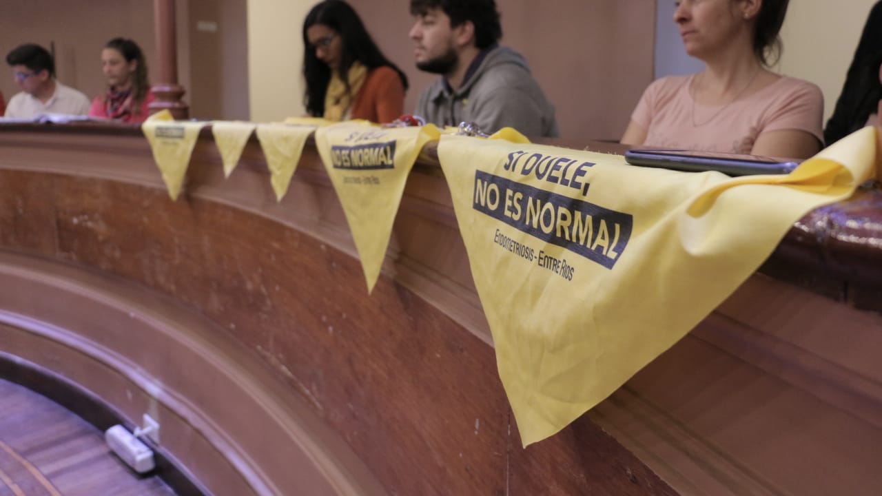 Un proyecto sobre endometriosis generó un intenso debate en Diputados