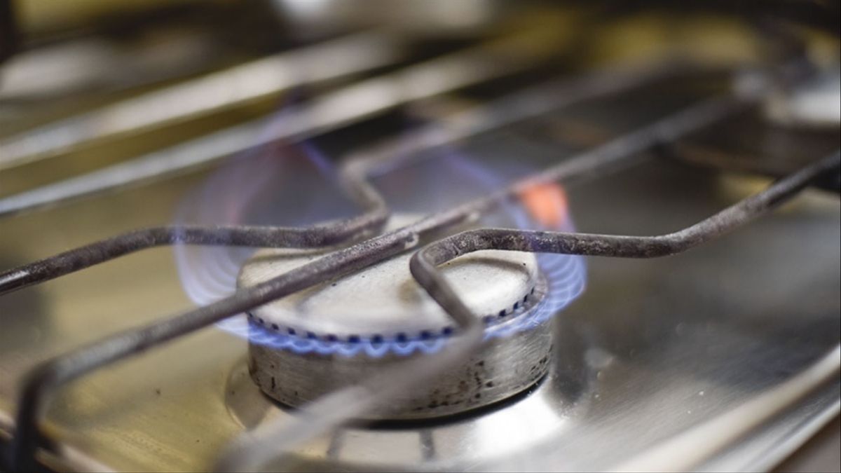 El Gobierno propuso aumentos del 20% en la factura de gas para usuarios sin tarifa social El Gobierno propuso aumentos del 20% en la factura de gas para usuarios sin tarifa social