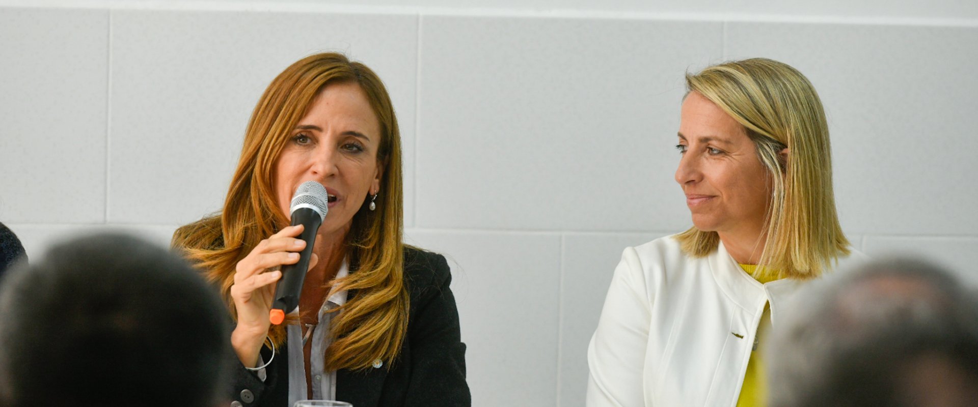 Stratta y Tolosa Paz compartieron un diálogo con empresarios entrerrianos
