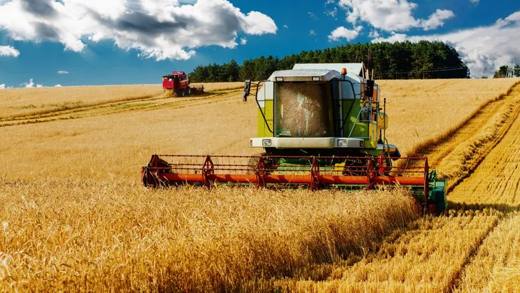 Escasez de gasoil: crece la demanda de plantas de autoconsumo de biodiésel