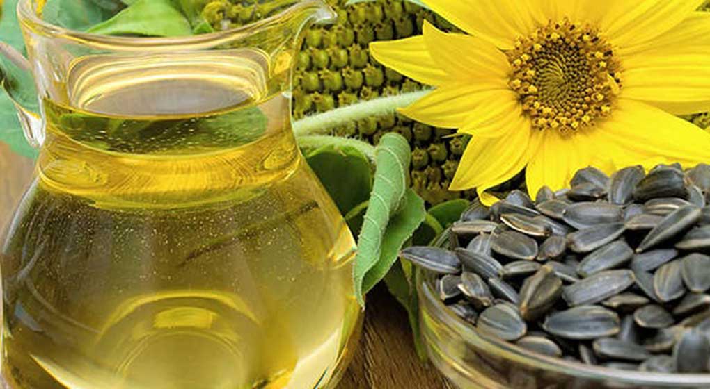 Bueno para sumar divisas: las exportaciones de aceite de girasol crecieron 180%