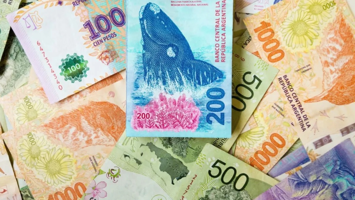 Salario Básico Universal: accederían 7,5 millones de personas, de entre 18 y 64 años Salario Básico Universal: accederían 7,5 millones de personas, de entre 18 y 64 años