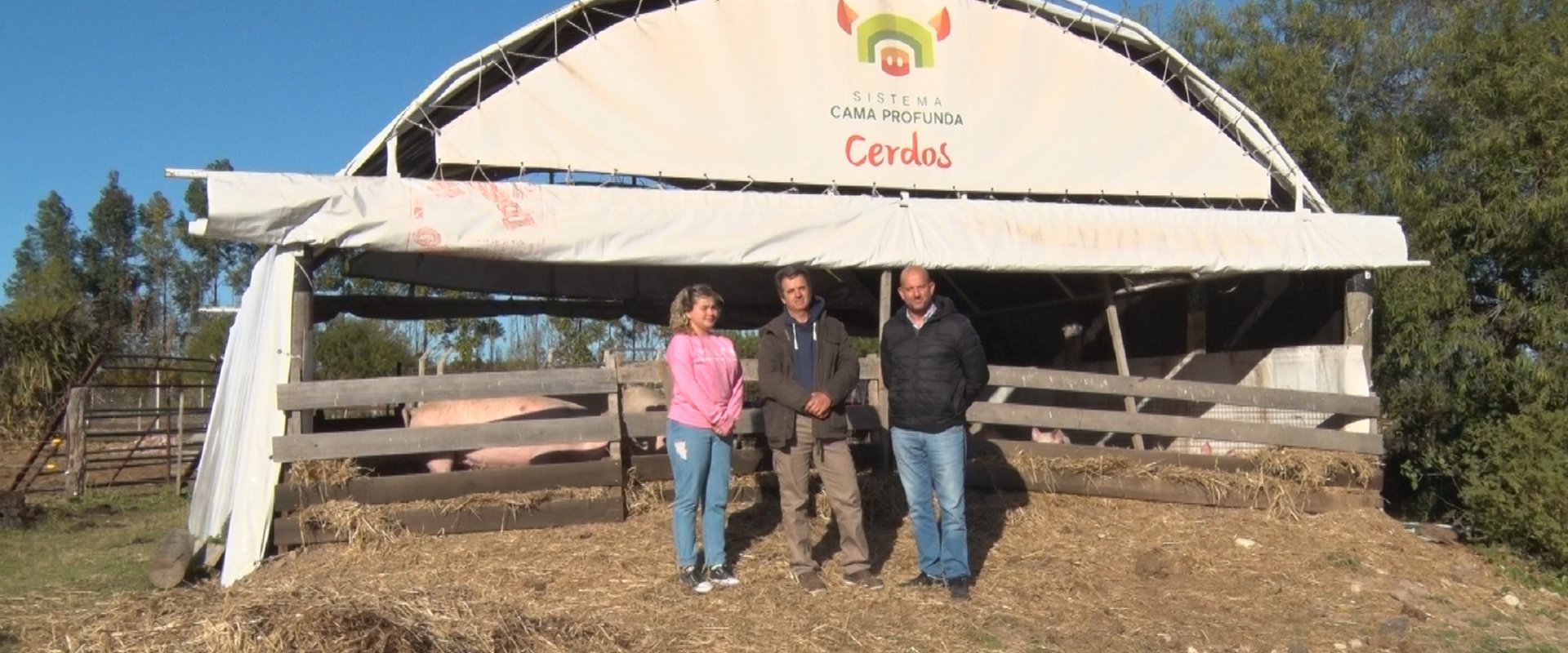 El gobierno entrerriano apoya una iniciativa académica para mejorar la producción porcina El gobierno entrerriano apoya una iniciativa académica para mejorar la producción porcina