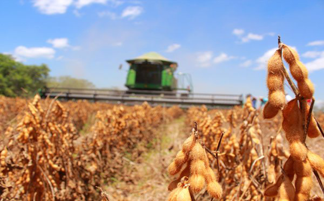 Mercados en vilo: una suba de tasas de la FED frenaría rally de commodities del agro