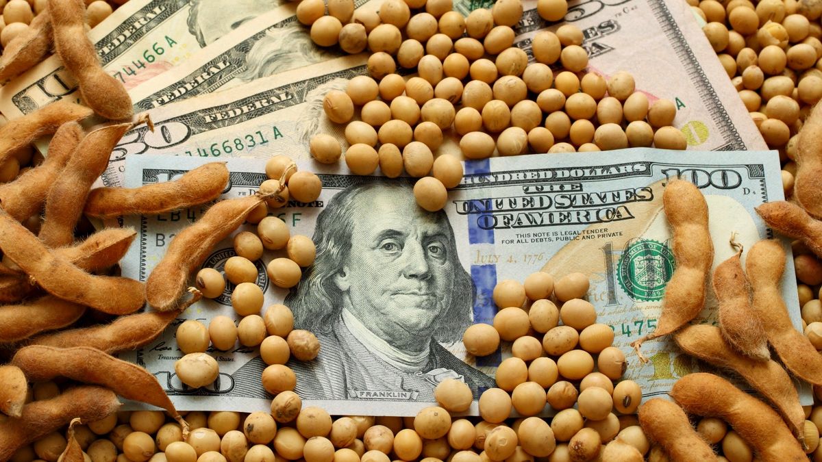 Gobierno busca mecanismos para que los productores vendan más soja Gobierno busca mecanismos para que los productores vendan más soja