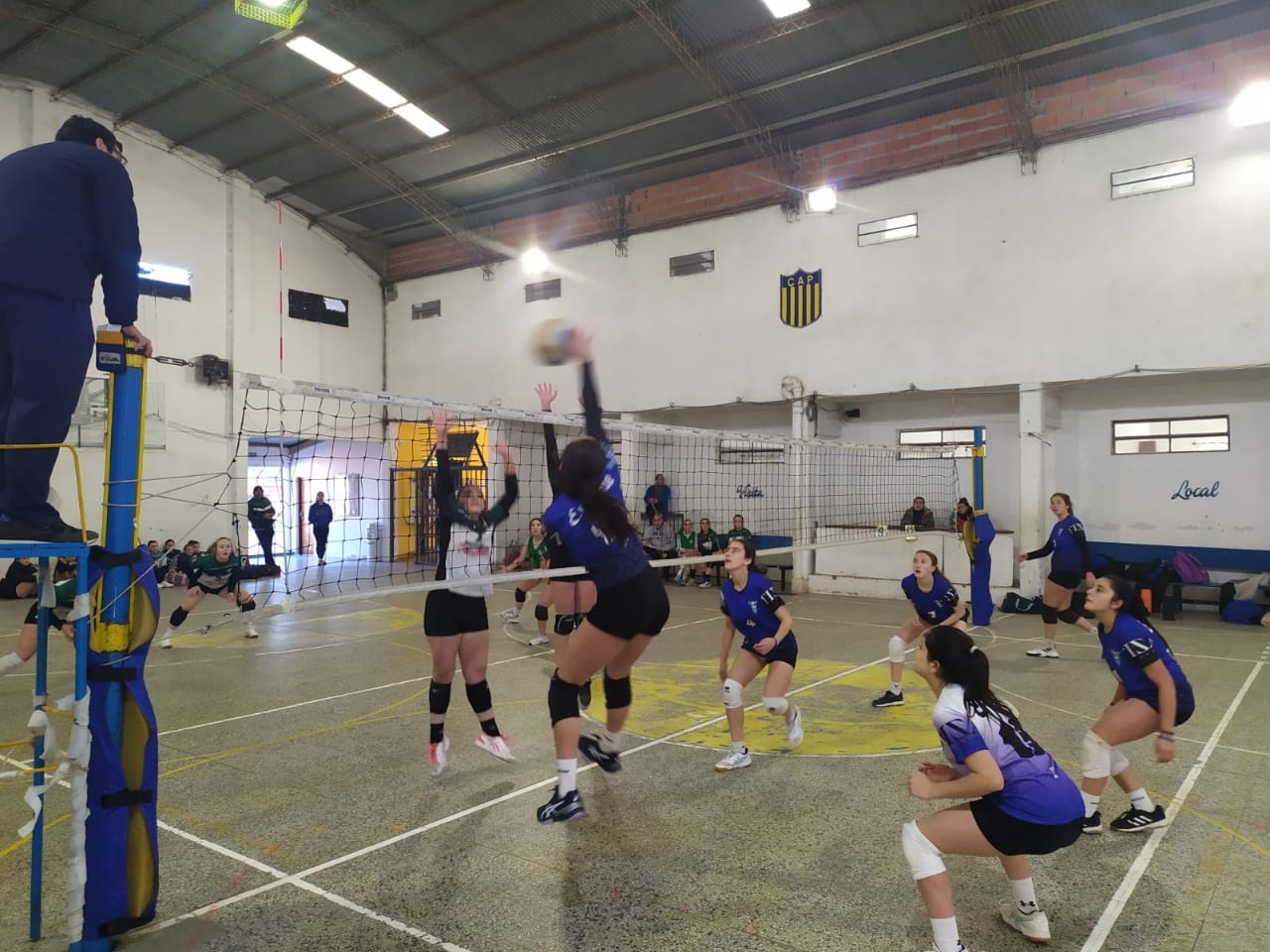Juegos Evita en Paraná: El voleibol ya tiene sus clasificados a la instancia provincial Juegos Evita en Paraná: El voleibol ya tiene sus clasificados a la instancia provincial