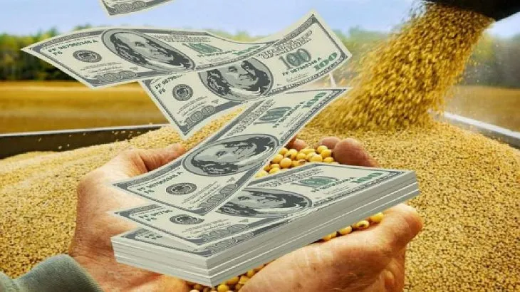 En lo que va de julio el agro liquidó u$s2.200 millones y preocupa la caída de los ingresos