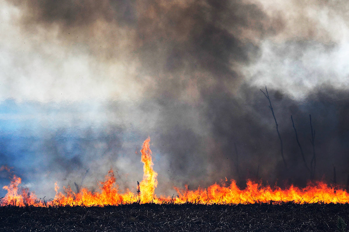 El Ministerio de Ambiente de la Nación presentó una denuncia sobre incendios en el Delta