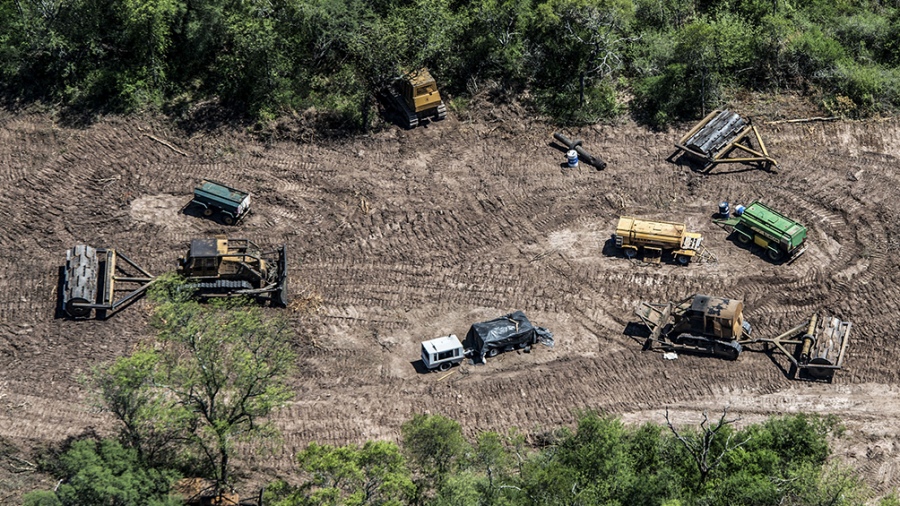 Las tasas de deforestacin en la regin son las ms elevadas desde 2009 Foto Greenpeace