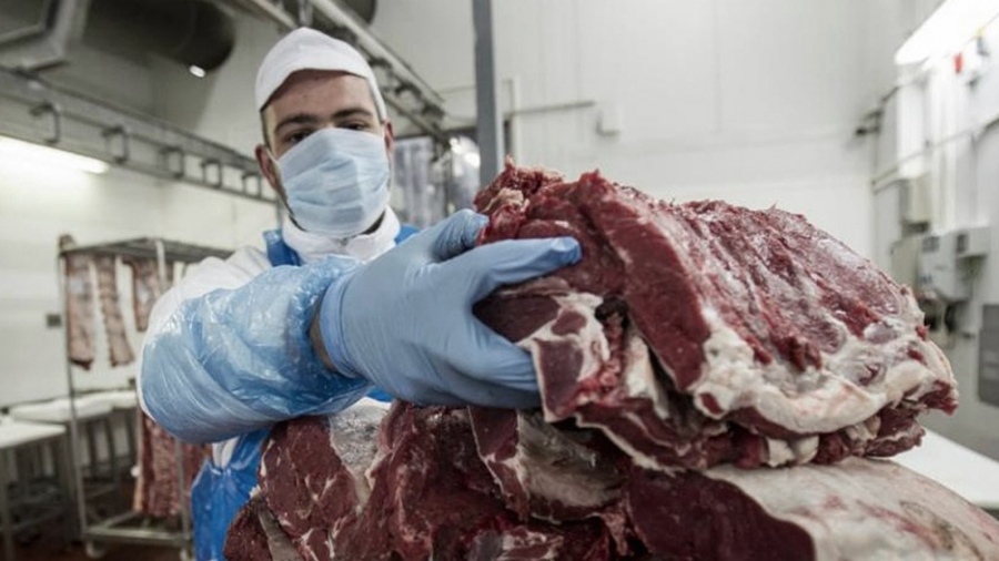 Carne: cuáles y cuánto salen los siete cortes que alcanza el programa Carne: cuáles y cuánto salen los siete cortes que alcanza el programa