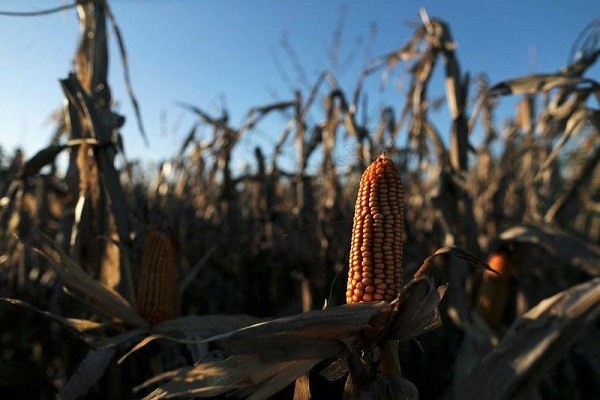 ¿Es un invierno más frío? ¿Es un invierno más frío?