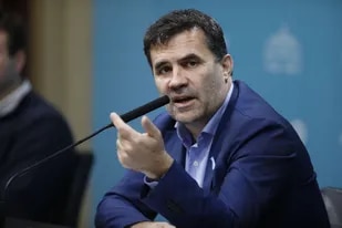 El secretario de energía Darío Martínez
