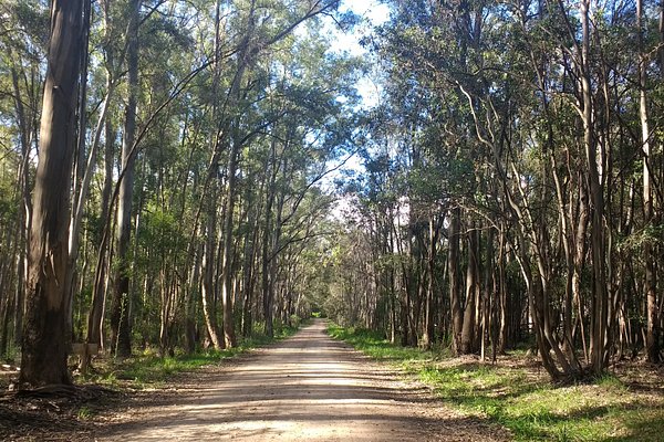 Por su naturaleza, Entre Ríos es una de las más elegidas en vacaciones de invierno Por su naturaleza, Entre Ríos es una de las más elegidas en vacaciones de invierno