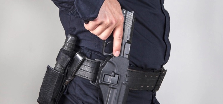 Violencia de Género: Aprobaron proyecto de ley sobre tenencia de armas