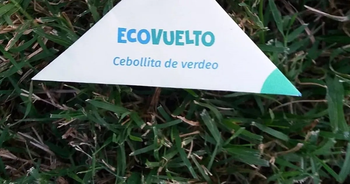 “Ecovuelto”: la propuesta de jóvenes agrarios entrerrianos a la falta de monedas