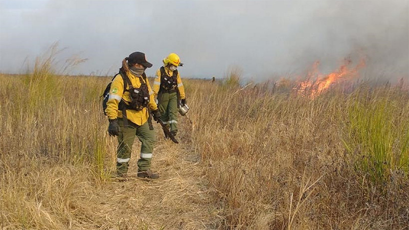 Incendios en islas: «nos preocupa la salud de la gente y el daño al ambiente»