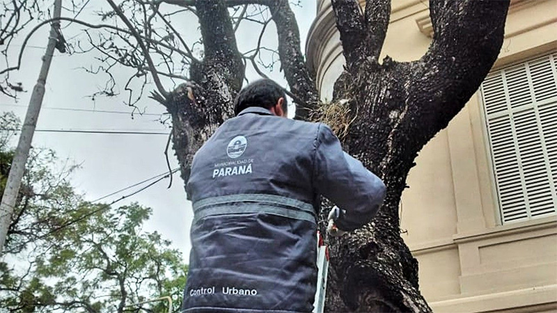 El municipio recuerda que hay que solicitar permiso para colocar pasacalles