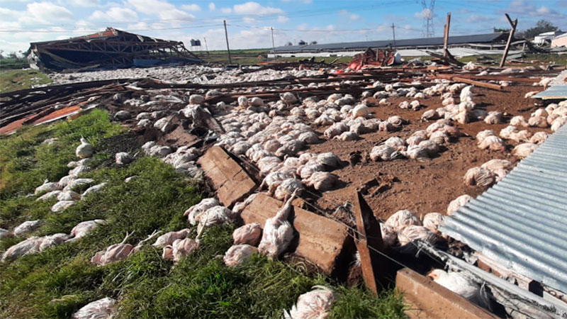 Relevaron los sectores productivos afectados por la tormenta del lunes