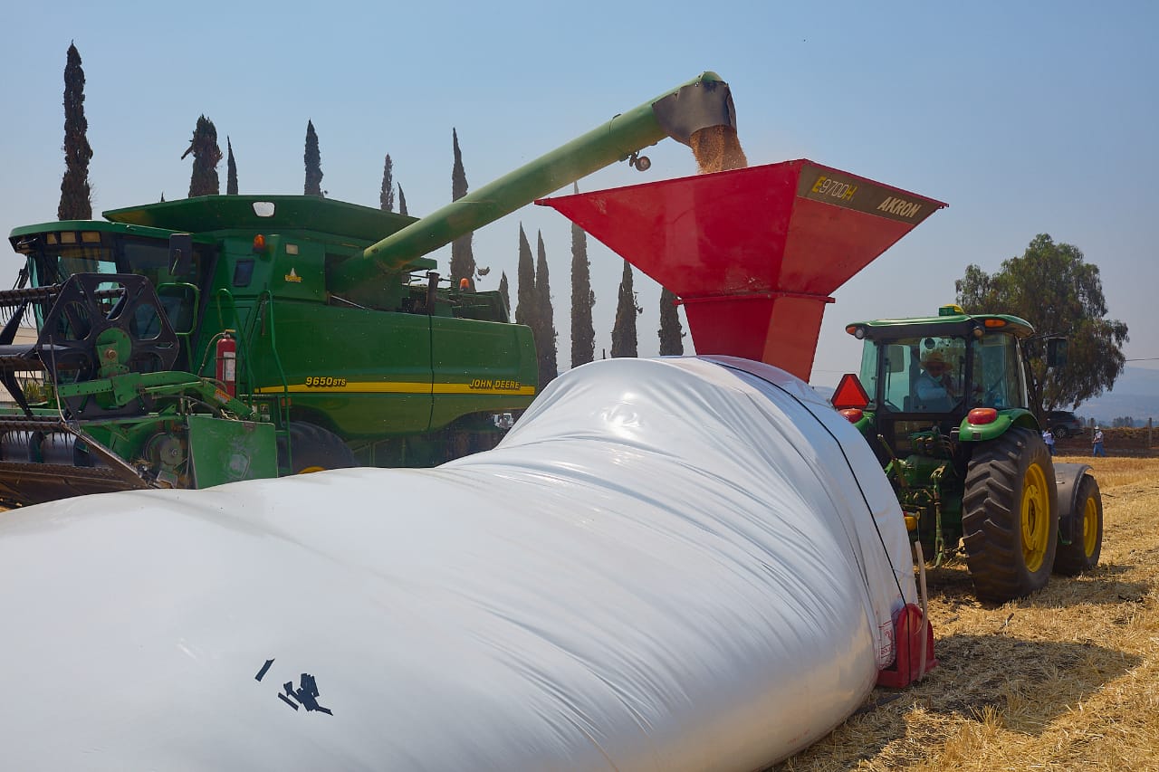 El BCRA aprobó un nuevo instrumento para incentivar al sector agroexportador a liquidar la cosecha
