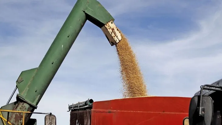El campo liquidó apenas u$s3.100 millones en el mes y termina esta semana el «dólar soja» El campo liquidó apenas u$s3.100 millones en el mes y termina esta semana el «dólar soja»