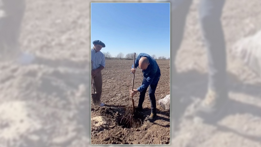 Abel Pintos ya se plantó más de 6.000 árboles en Mercedes