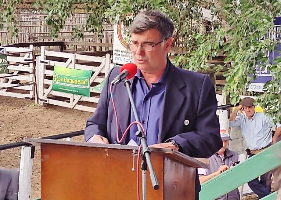 Colombatto al Gobierno: «No nos vengan con victimizaciones de cartón pintado» Colombatto al Gobierno: «No nos vengan con victimizaciones de cartón pintado»
