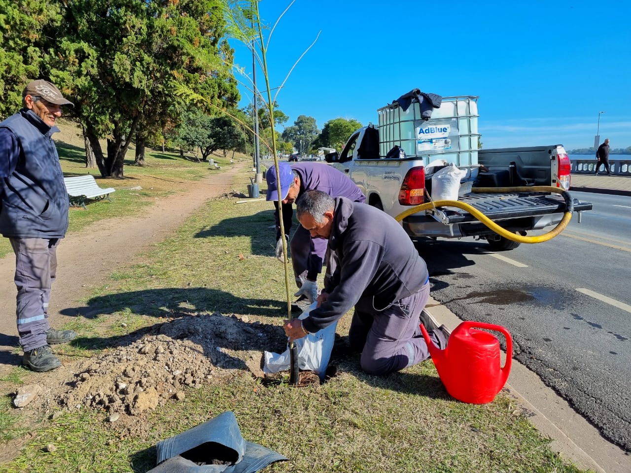 Plantan árboles en el Parque Urquiza