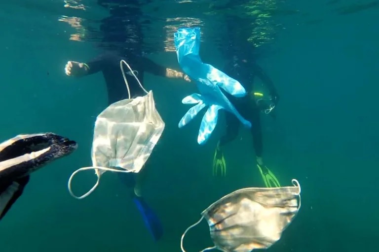 Barbijos y guantes pondrán en peligro durante décadas la vida silvestre Barbijos y guantes pondrán en peligro durante décadas la vida silvestre