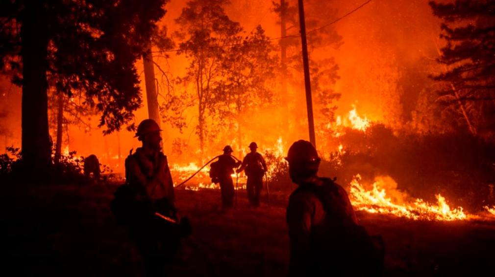 Proponen declarar al Delta del Paraná «zona de desastre natural» por los incendios Proponen declarar al Delta del Paraná «zona de desastre natural» por los incendios