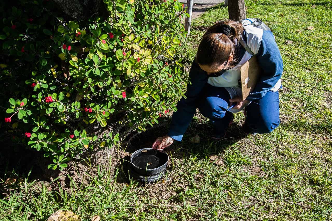 La Municipalidad trabaja todo el año en la prevención del Dengue