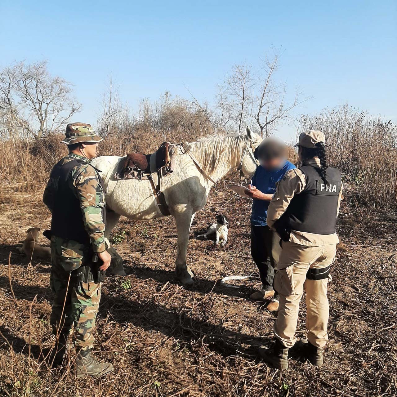 Detuvieron a tres personas acusadas de provocar incendios en el Delta