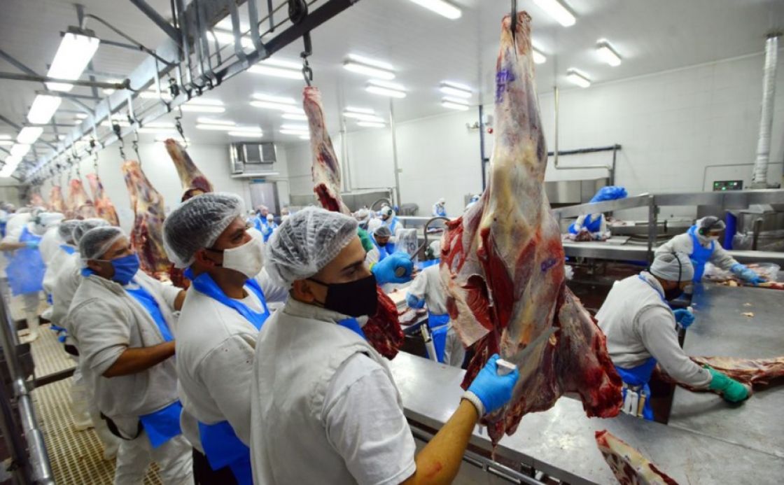 Frigoríficos piden nueva revisión en el sistema de troceo Frigoríficos piden nueva revisión en el sistema de troceo