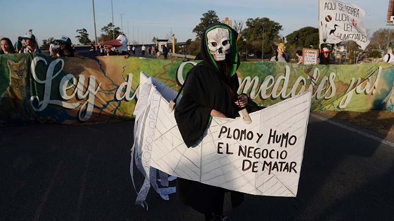 Ambientalistas cortaron el enlace Victoria-Rosario por las quemas en las islas Ambientalistas cortaron el enlace Victoria-Rosario por las quemas en las islas