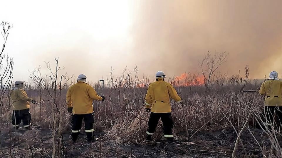 Incendios en el Delta: «Cuando esté la orden detendremos a quienes lo producen»