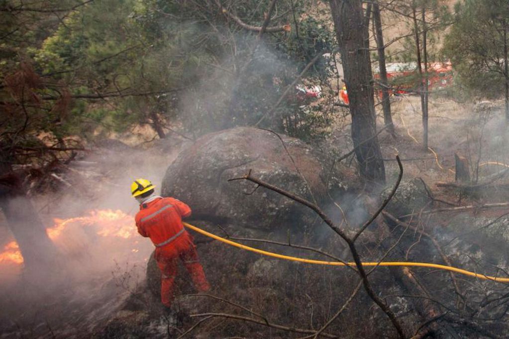 Nueve incendios permanecen activos en Santa Fe, Entre Ríos y Buenos Aires