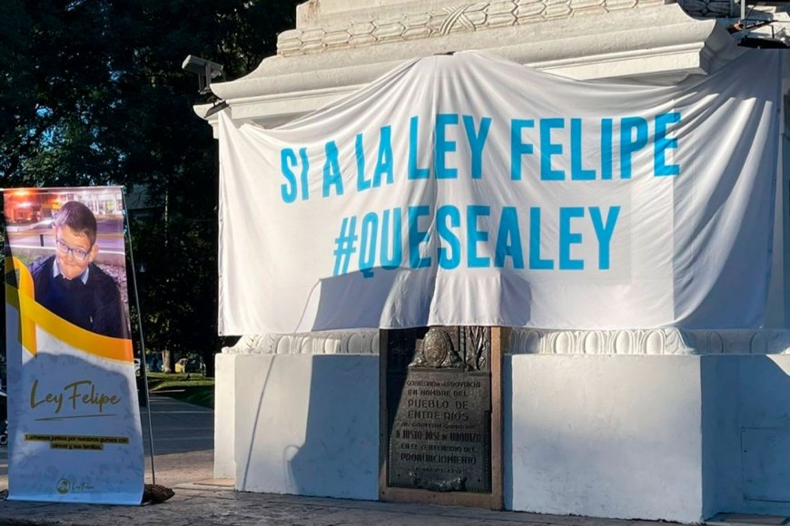 La Cámara de Diputados busca darle media sanción a la “Ley Felipe”