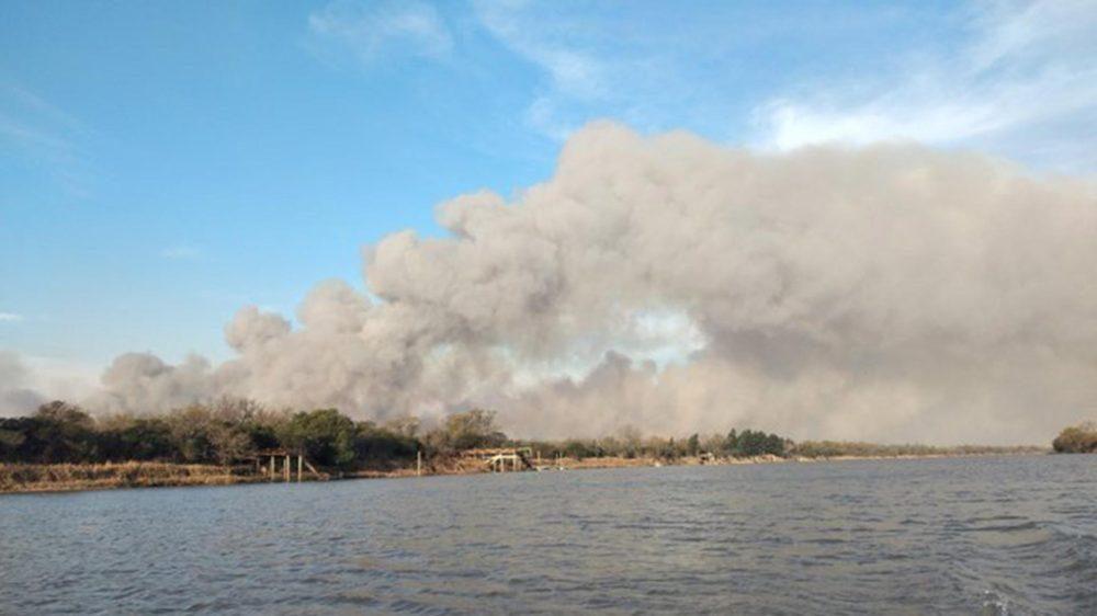 850 mil hectáreas fueron quemadas en el Delta durante tres años