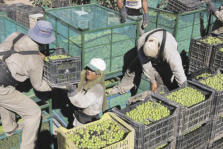 Economías regionales: exportaciones crecieron 8,4% y generaron u$s7.700 millones Economías regionales: exportaciones crecieron 8,4% y generaron u$s7.700 millones