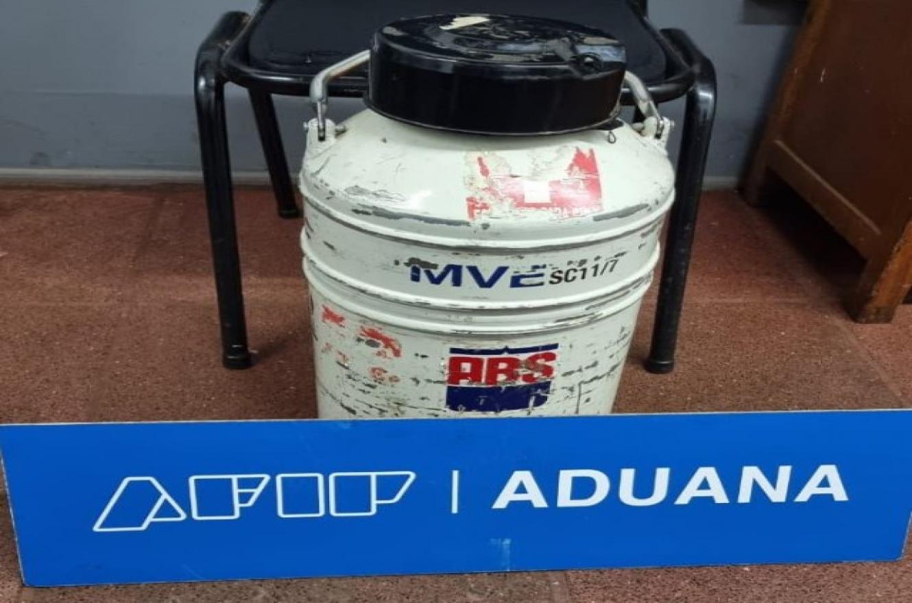 La Aduana evitó un contrabando millonario de semen de toro La Aduana evitó un contrabando millonario de semen de toro