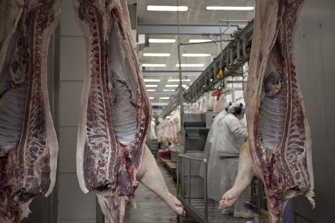 Singapur habilita importación de carne y productos porcinos