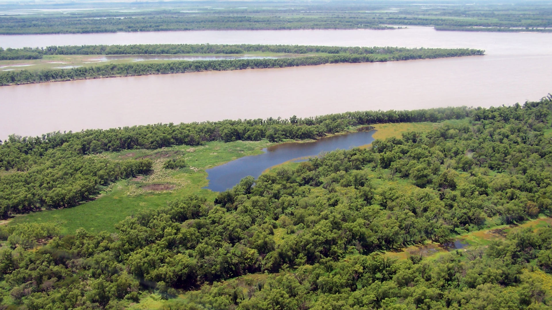 Proponen incorporar islas y humedales del Delta al sistema de Áreas Naturales Protegidas
