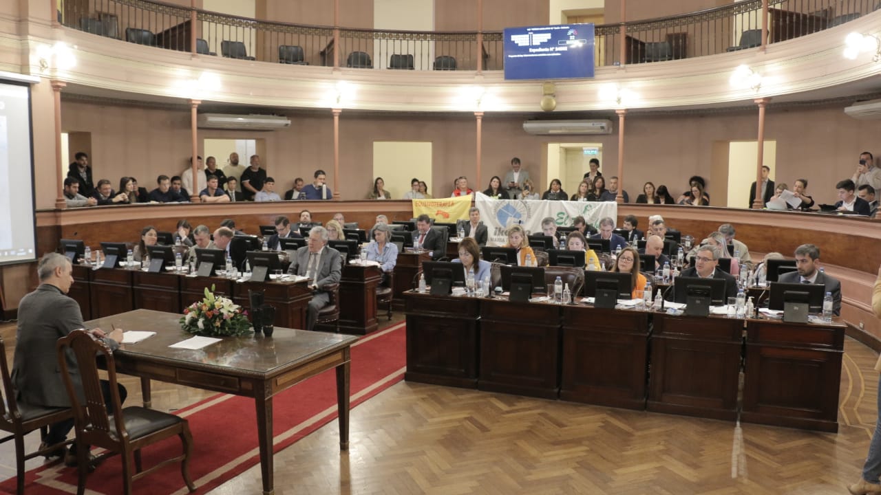 Diputados aprobó el proyecto que regula la equinoterapia y las terapias asistidas Diputados aprobó el proyecto que regula la equinoterapia y las terapias asistidas