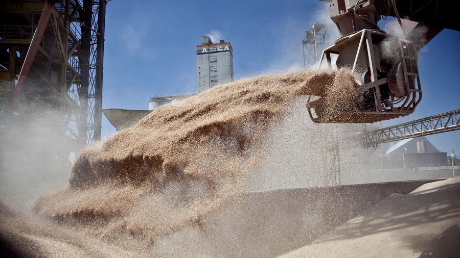 La liquidación de divisas del agro alcanzó un nuevo récord La liquidación de divisas del agro alcanzó un nuevo récord