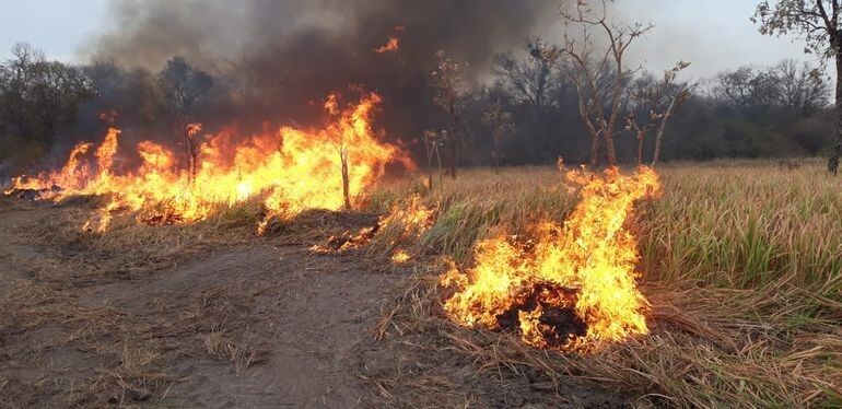 Hay cuatro focos de incendio en la provincia Hay cuatro focos de incendio en la provincia